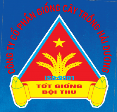 LOGO CONGTYGIONG02